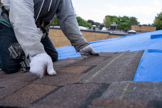 Best Roof Waterproofing Services  in Manhattan, IL