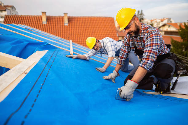 Best Roof Repair Services  in Manhattan, IL