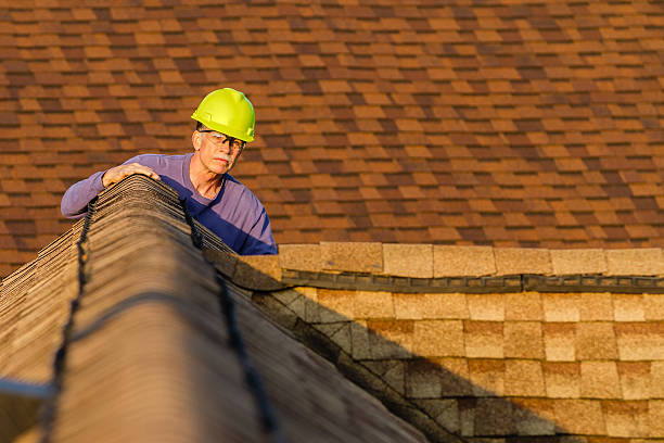 Professional Roofing Contractor in Manhattan, IL